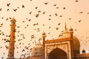 Jama Masjid Delhi Tour Package