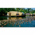 Kumarakom Backwatots Kerala