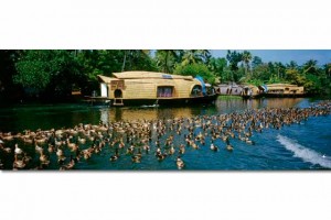 Tourist Attraction in Kumarakom Kerala India