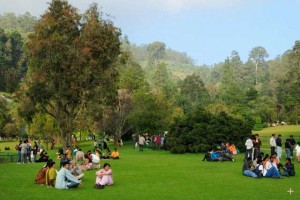 Ooty and Kodaikanal  Packages