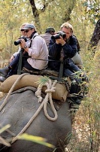 Kanha wildlife tour india