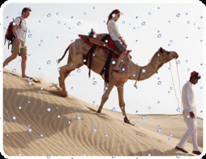 Golden Triangle Tour With Rajasthan Camel Safari