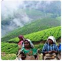 Kerala Hill Stations Tour Packages India