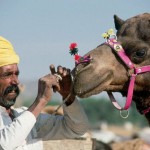 Pushkar Tour Packages Rajasthan India